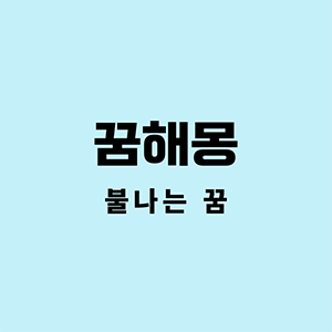 불나는꿈
