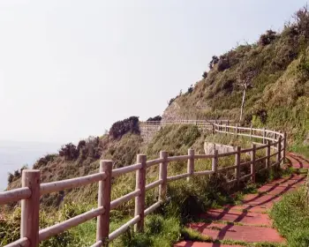 대마도 배편 예약21