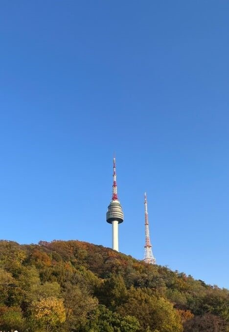 2025년 을사년 새해 해돋이 명소 top10