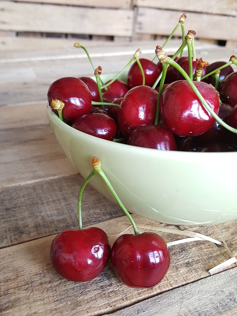 과일 체리 사진