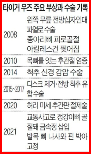 타이거 우즈 주요 부상일지