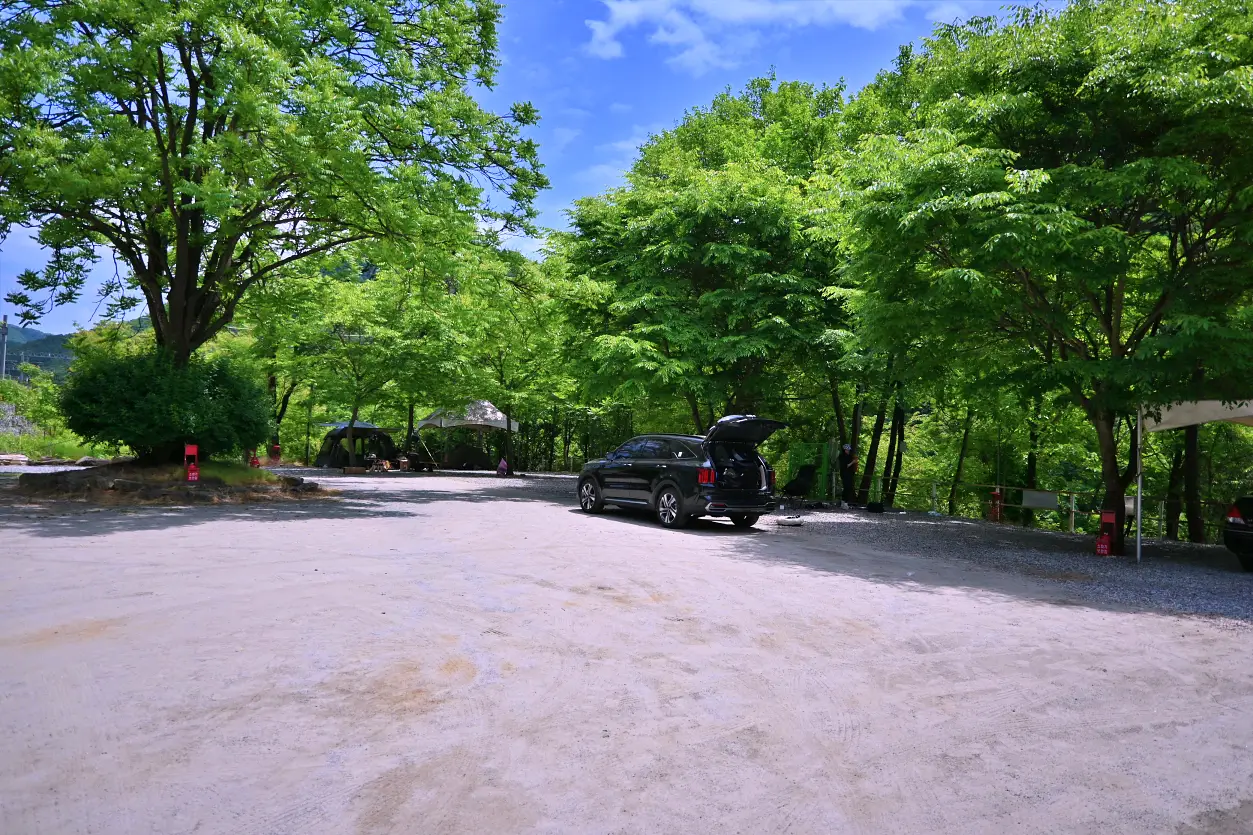 충주 천등산캠핑장 강가에서 즐기는 가성비 캠핑장 사진 3