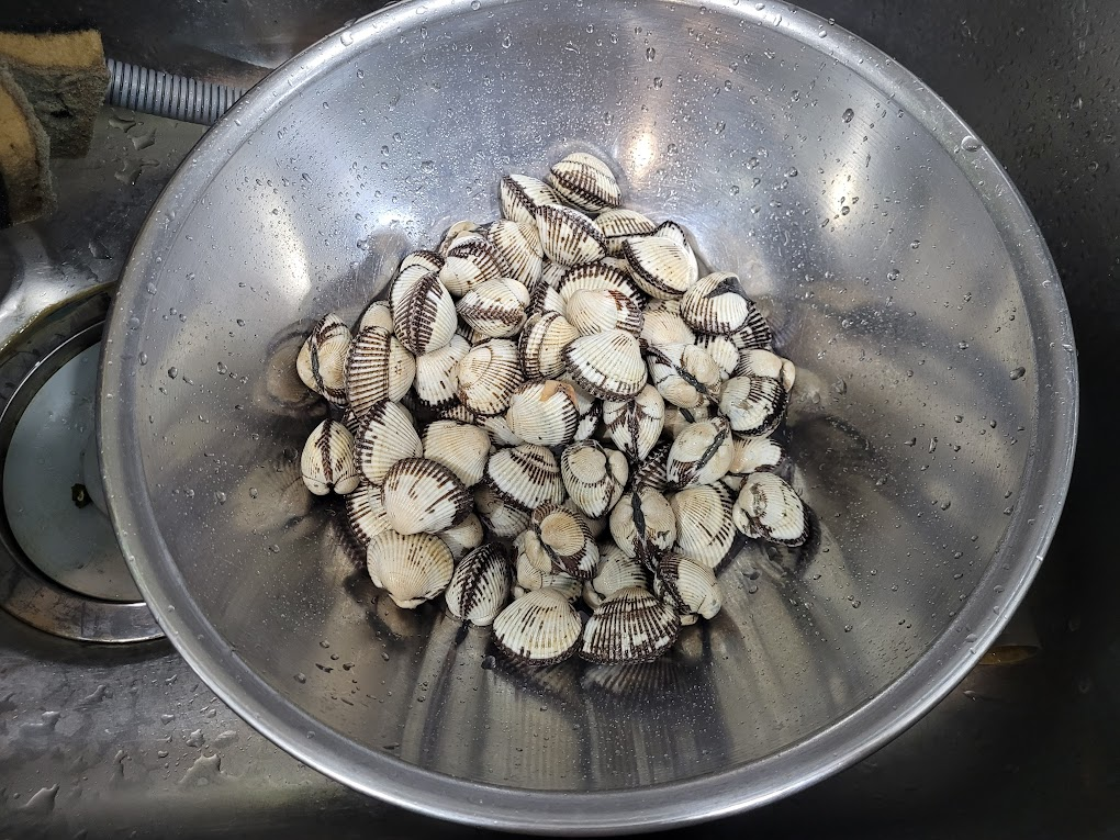 꼬막을 양푼에 담야 씻는 장면