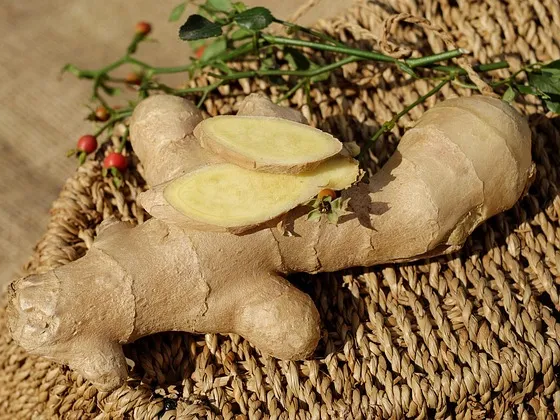 생강 구역질 완화에 도움