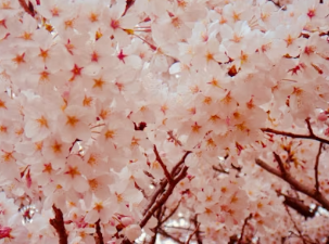 수성못 벚꽃길 산책 후 필수 코스! 조용하고 감성 가득한 핸드드립 커피 맛집 추천