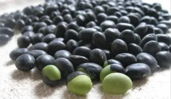 서리태 효능 먹는법 영양성분_7