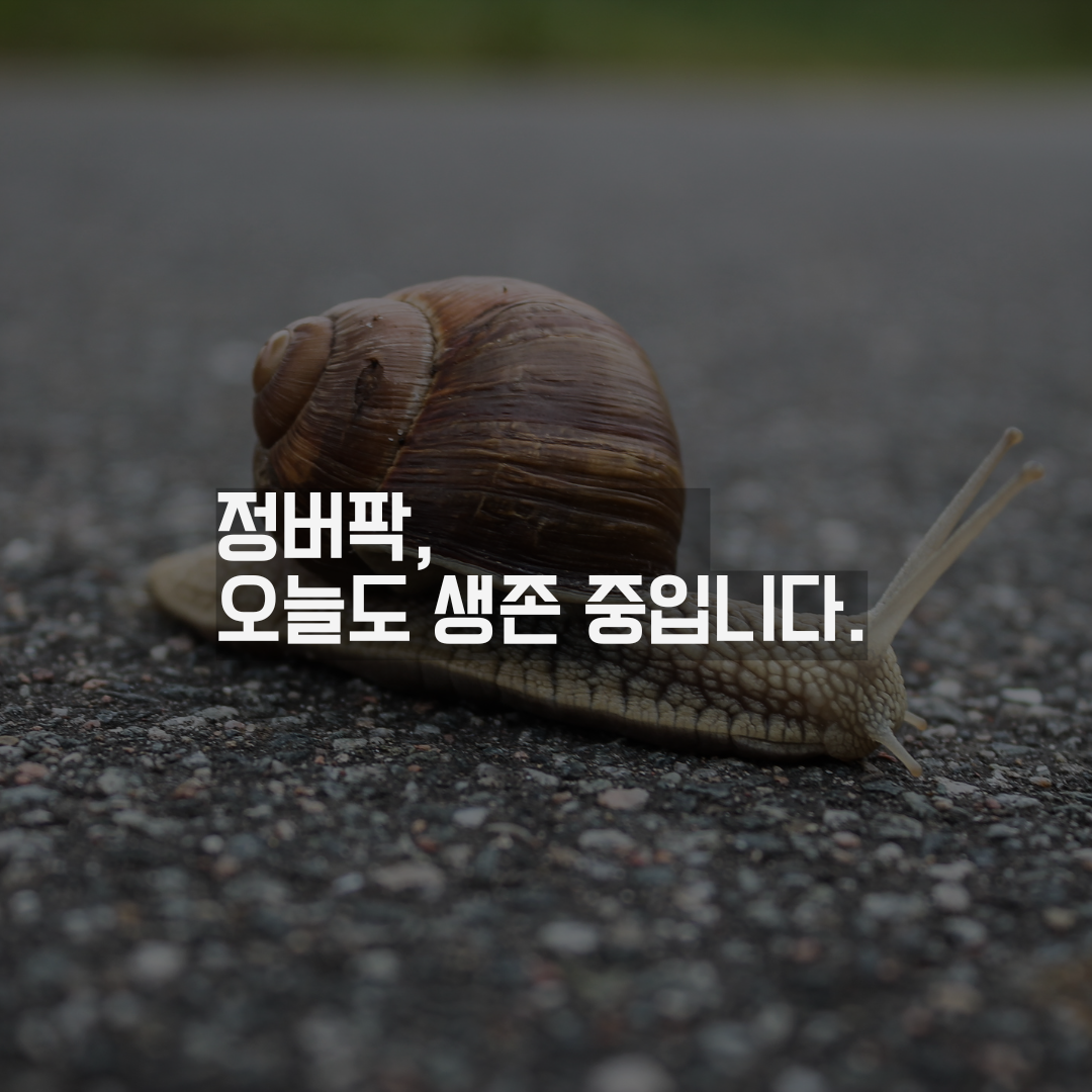 당신만의 속도로 잘 살아내셨습니다.