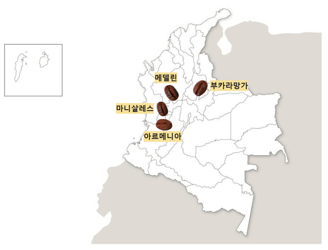 콜롬비아 커피