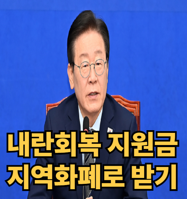 내란회복지원금