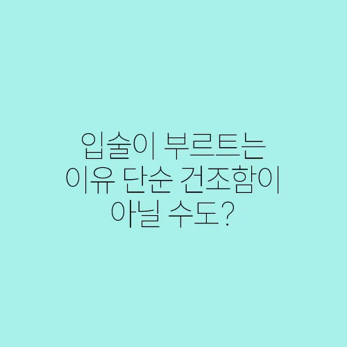 입술이 부르트는 이유 단순 건조함이 아닐 수도?