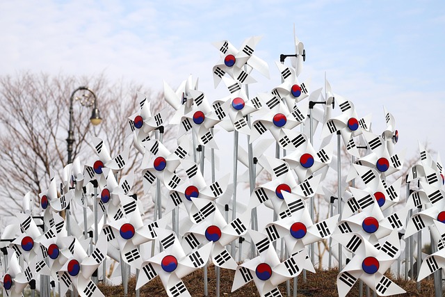 청와대 국민청원 홈페이지 바로가기