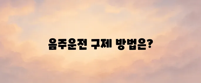 음주운전 처벌기준 구제방법