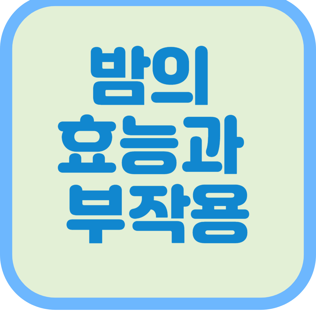 밤의 효능과 부작용