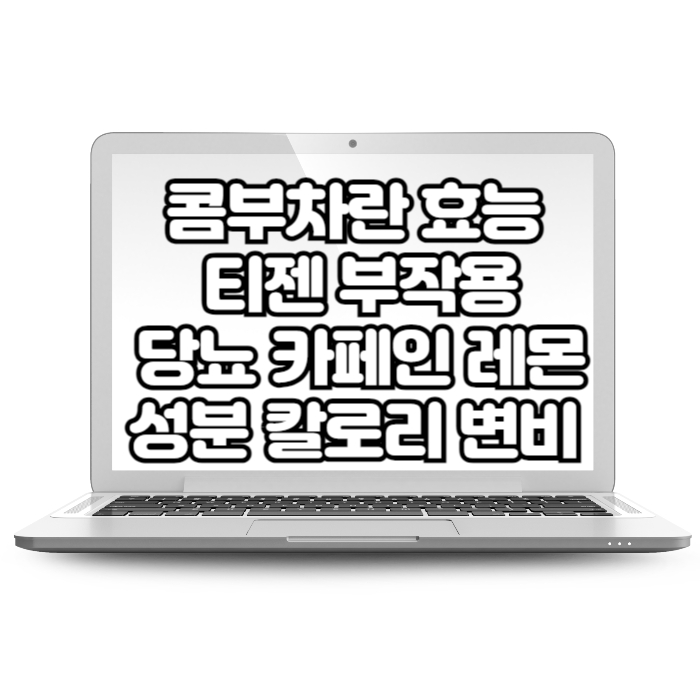콤부차 효능 티젠 부작용 추천 마시는 콤부차란 다이어트 당뇨 카페인 레몬성분 칼로리 변비해결