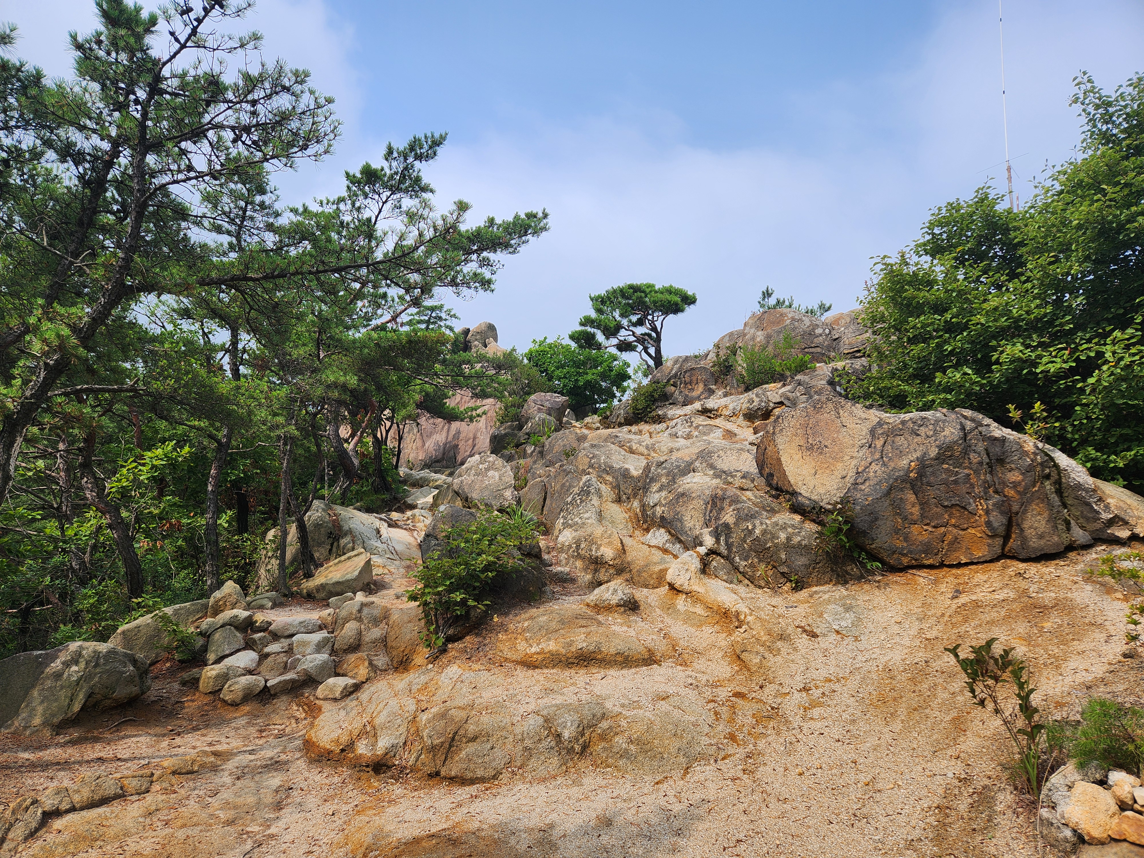 관악산 (42)