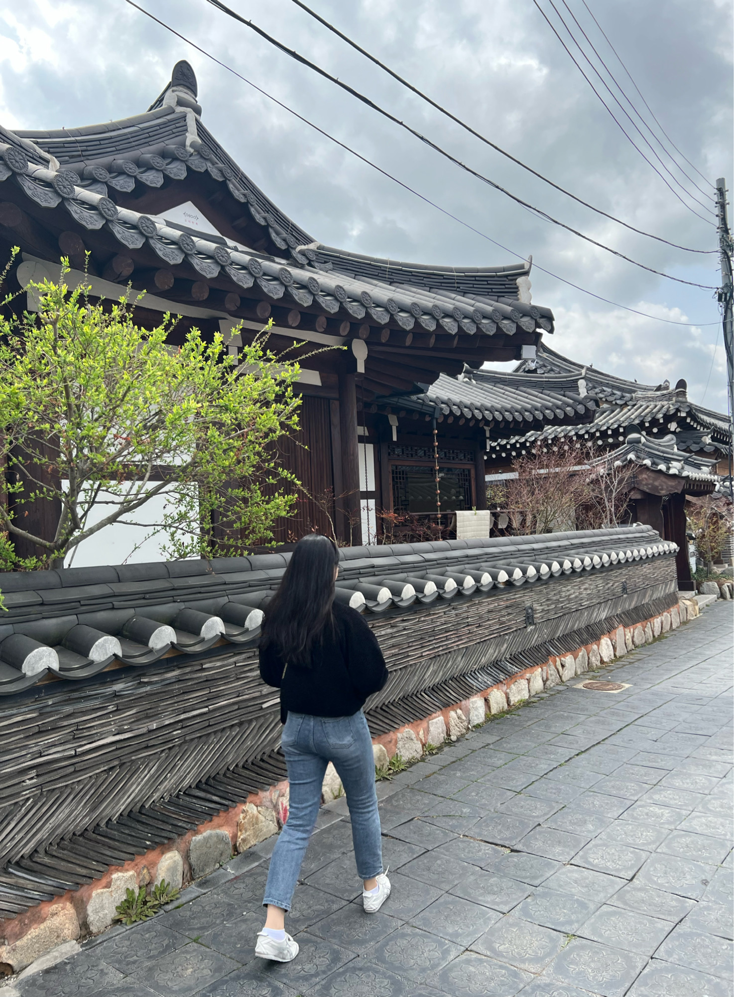 천년의 사랑이 머무는 곳: 경주 황리단길부터 야경 명소까지 완벽 데이트 코스