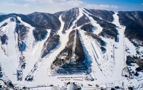 인기 스키장 예약정보 (휘닉스&amp;#44; 비발디&amp;#44; 곤지암&amp;#44; 하이원&amp;#44; 지산) 관련사진