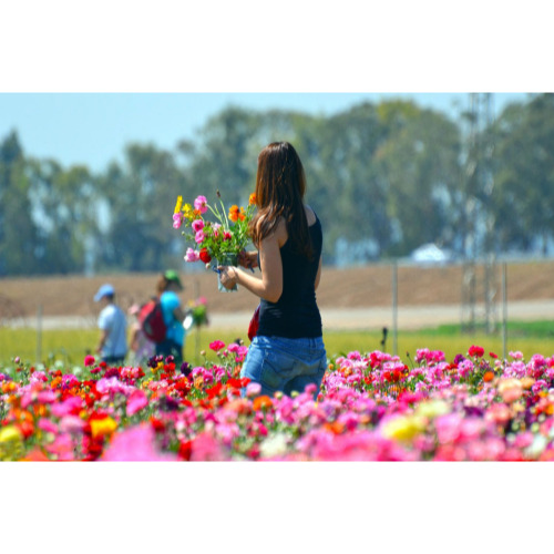 알파벳 h로 시작하는 동사