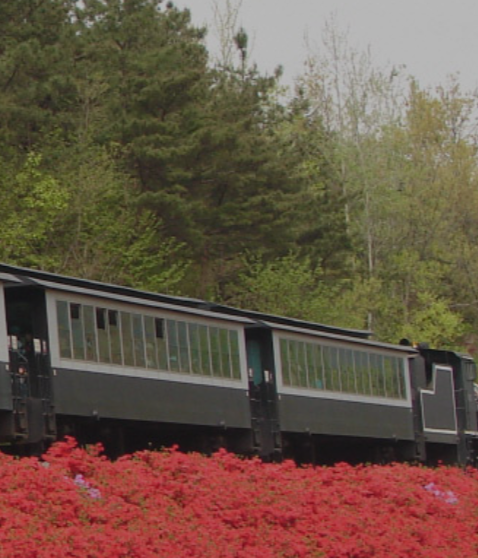 곡성 기차마을 증기기관차