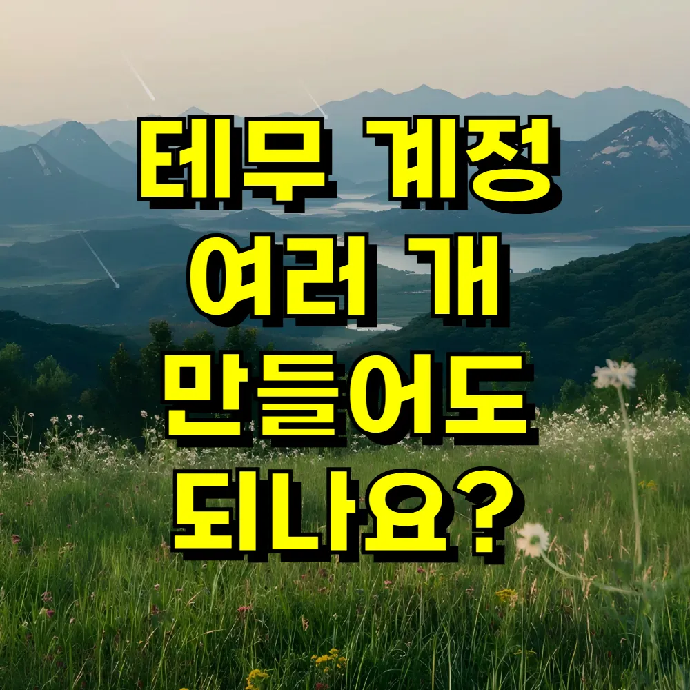 테무 계정 여러 개 만들어도 되나요
