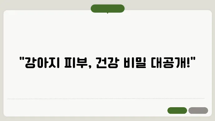 강아지 목욕 시기 선택 및 방법, 피부 건강을 위한 필수 가이드