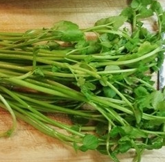 미나리 효능 부작용 고르는법 칼로리