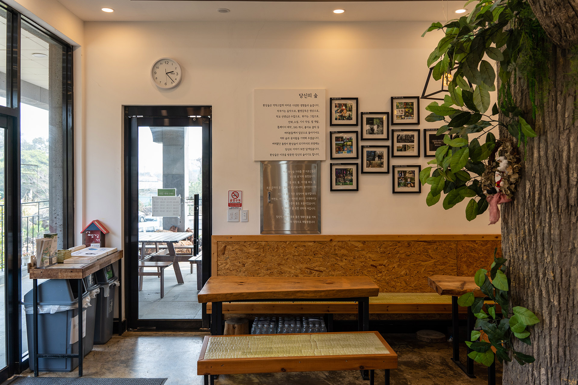 환상숲 곶자왈 공원 족욕카페