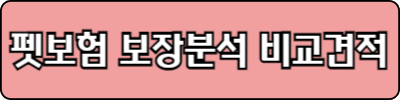 애완동물