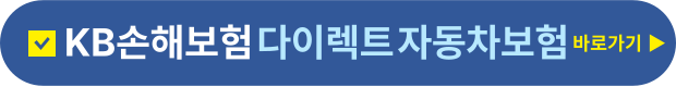 다이렉트자동차보험 바로가기
