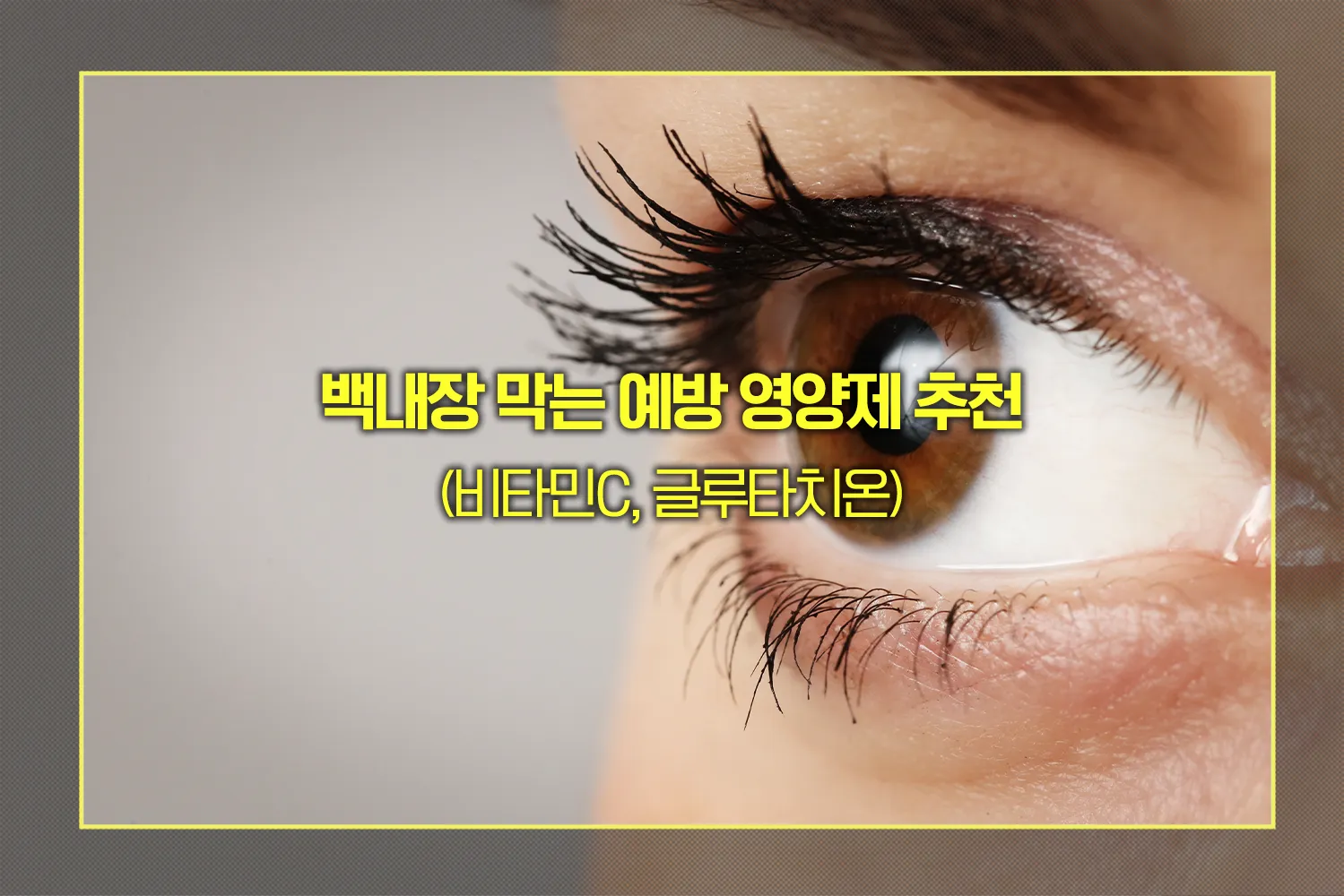 백내장 막는 예방 영양제 추천
