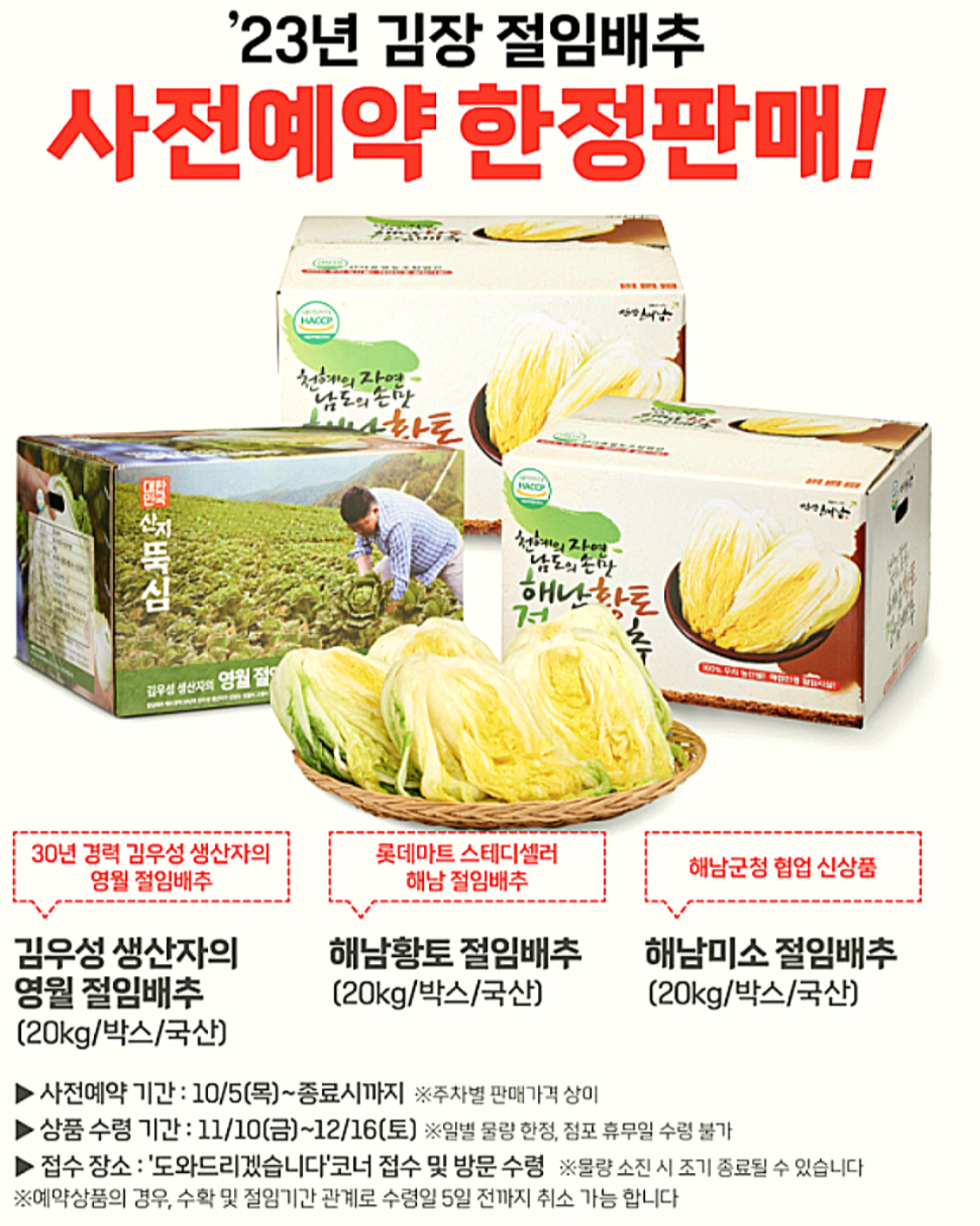 2023년 김장 절임배추