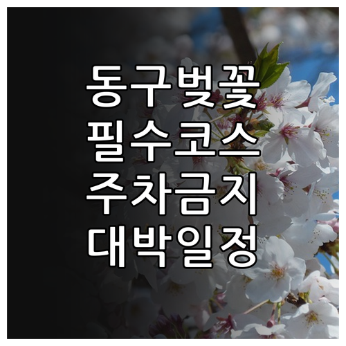 광주 동구 벚꽃 축제 프로그램과 대중..