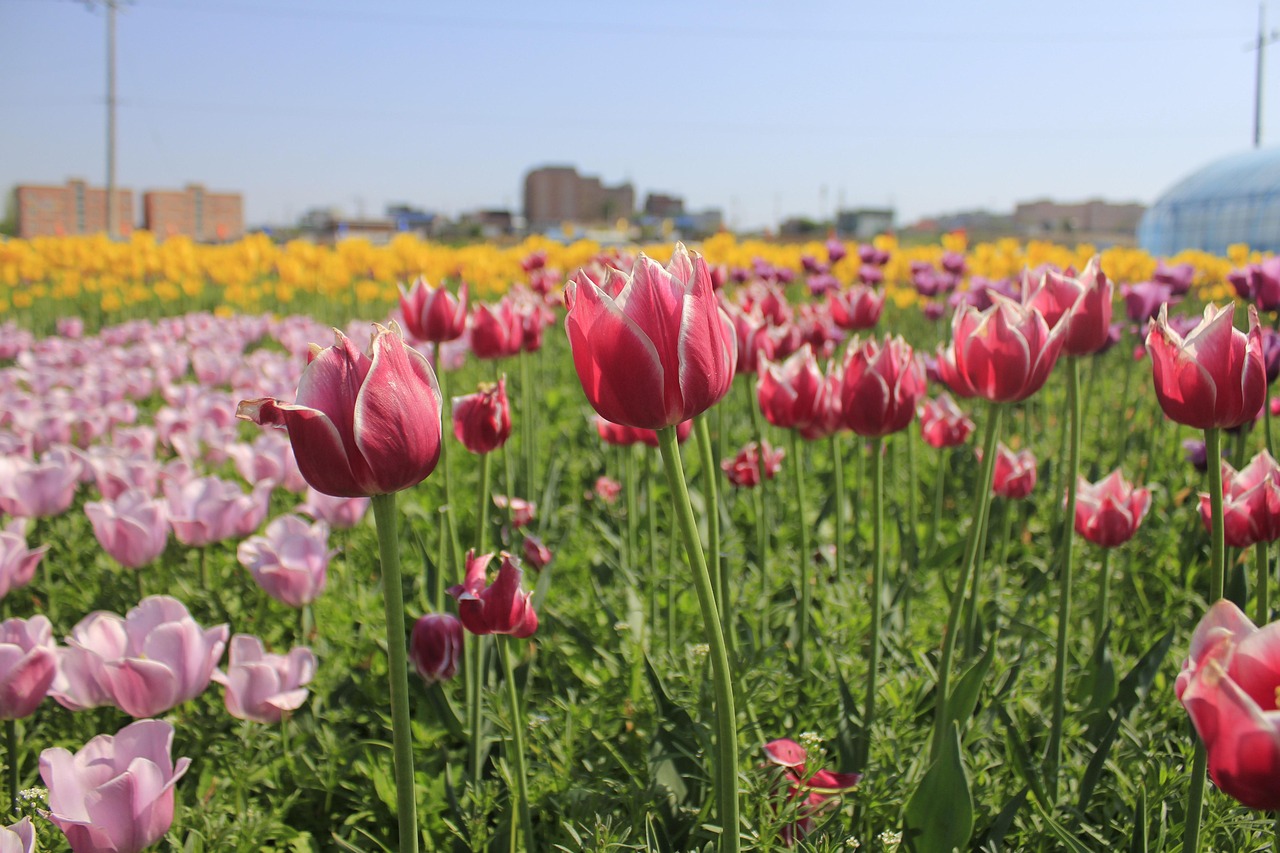 화이트데이 여자친구 선물 추천!