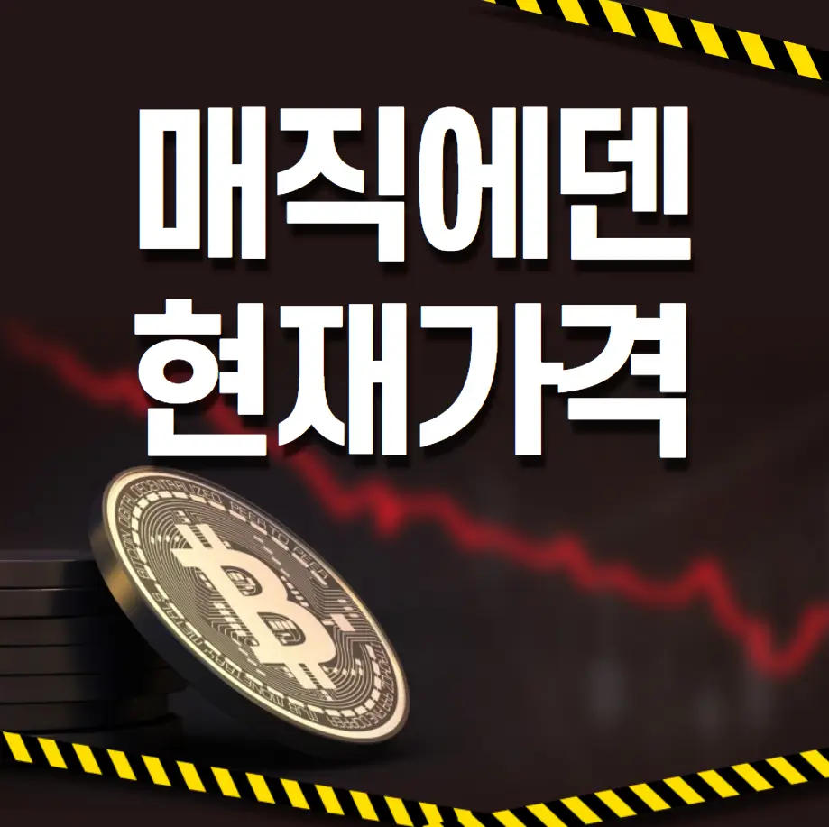 매직에덴 현재가격