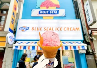오키나와 블루 술의 맛과 향 여름 휴가에 어울리는 선택_20