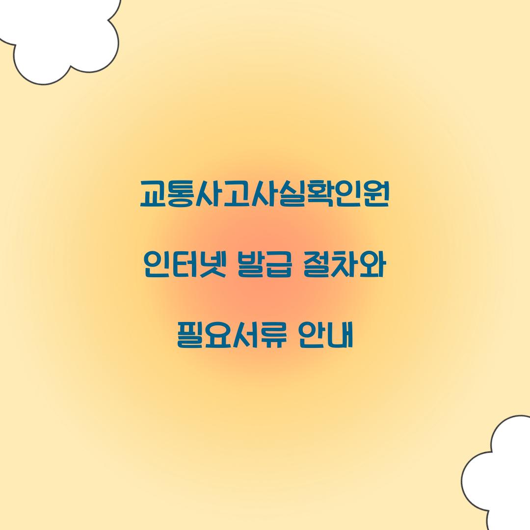 교통사고사실확인원 인터넷 발급