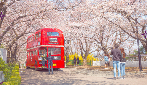 벚꽃과 빨간버스