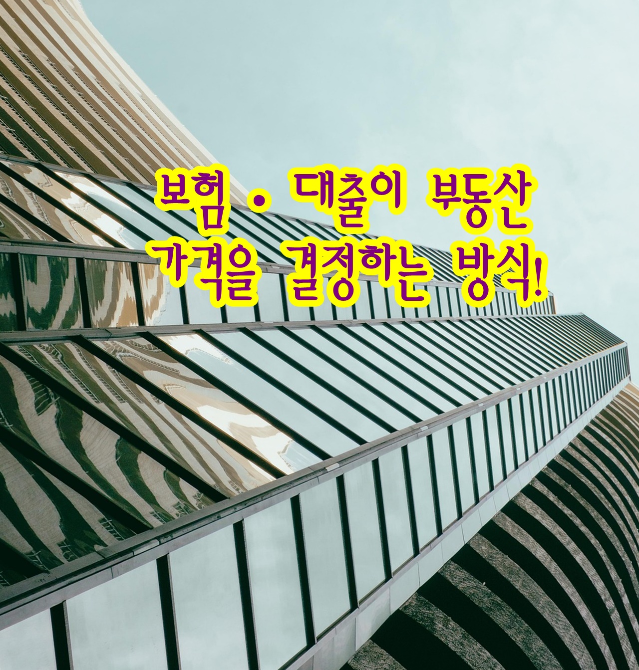 보험·대출이 부동산 가격을 결정하는 방식!