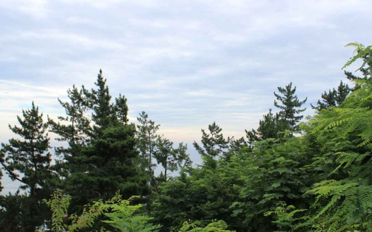 울진 가볼만한곳 베스트10