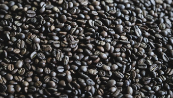 아미노산이 풍부한 식품 : 콩