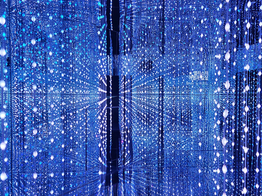 기장 힐튼 아난티 미디어아트 캐비드 네 쁘아쏭 갤러리 방문후기