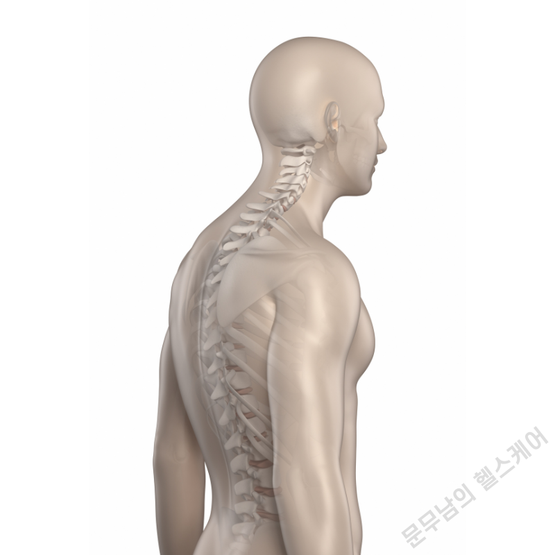 뒷목 통증 원인 두통과 뻐근한 이유