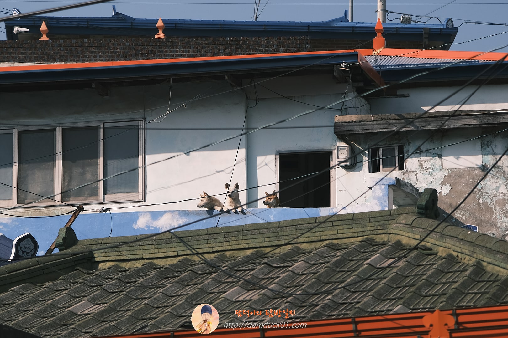 군산말랭이마을