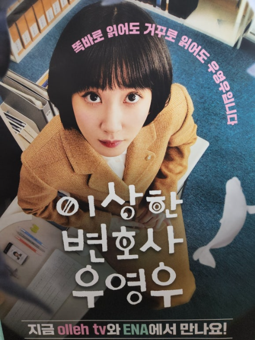 이상한 변호사 우영우 관련 사진