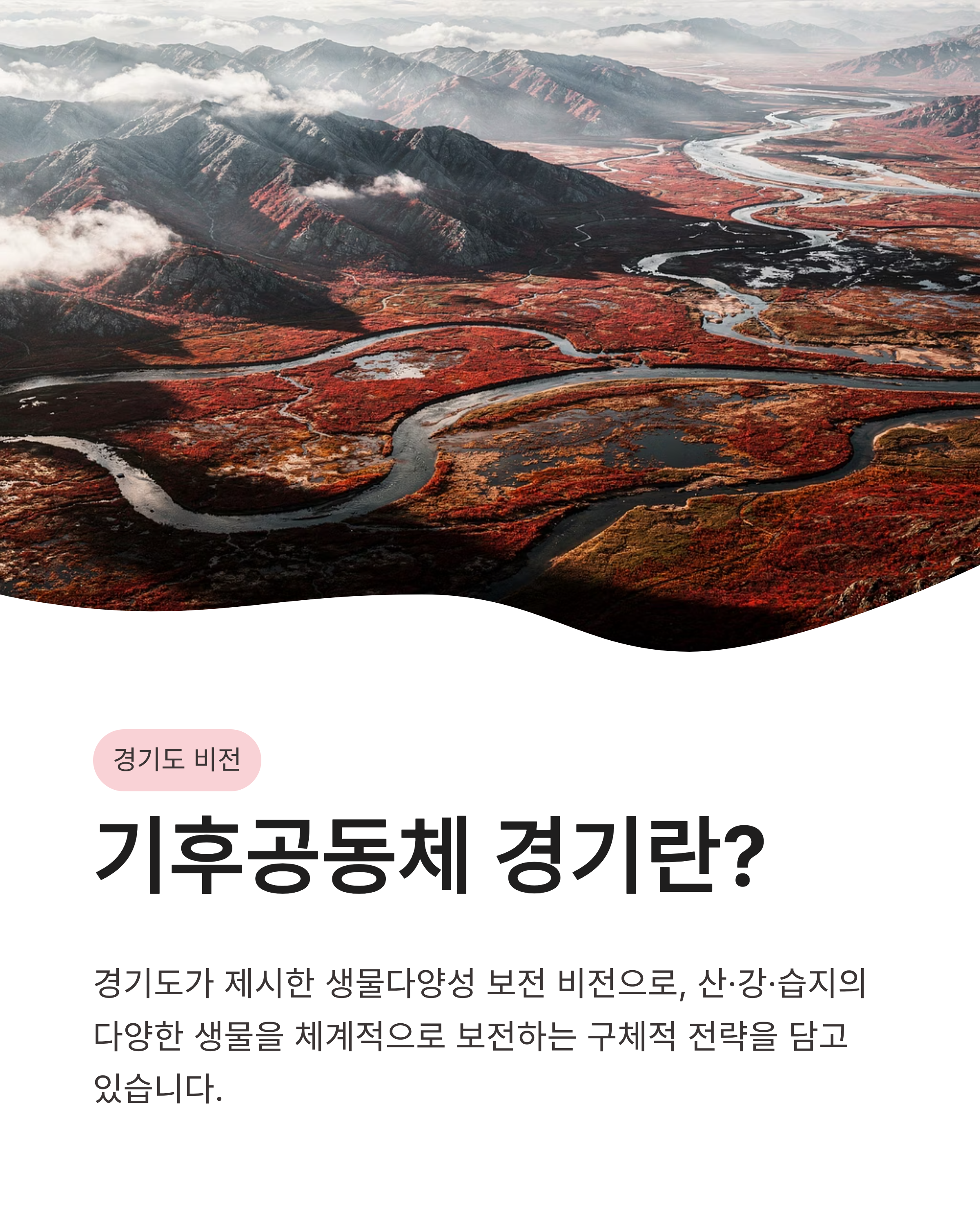 5월 12일 기후행동 기후동행 퀴즈정답, 경기도 생물다양성전략, 핵심요약정리