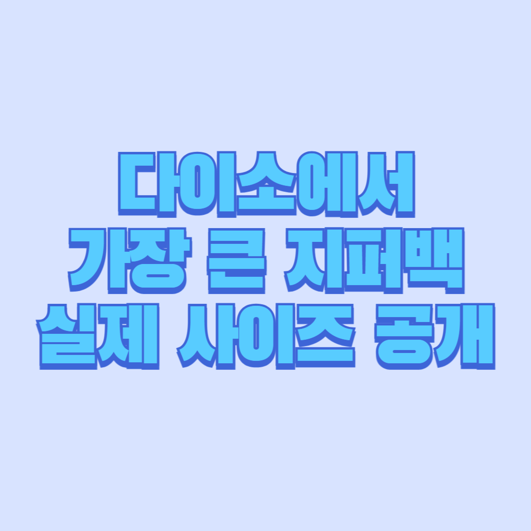 다이소에서 가장 큰 지퍼백 실제 사이즈 공개