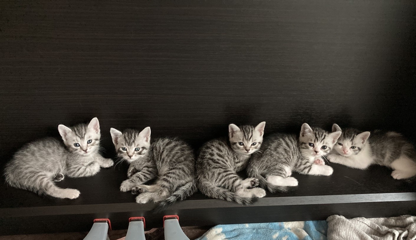 오남매가 함께 찍은 유일한 사진