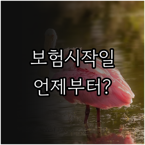 보험 계약 효력 발생하는 날 보장 개