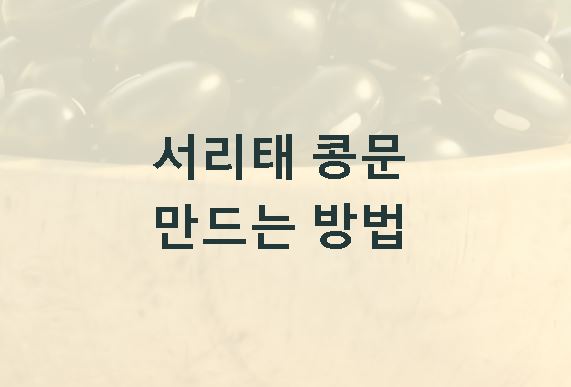 서리태 콩물 만드는방법