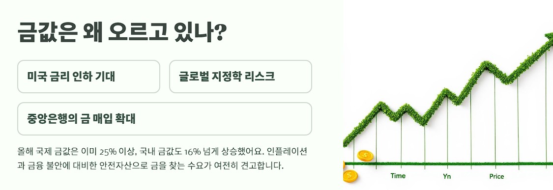 금값은 왜 오르고 있나?